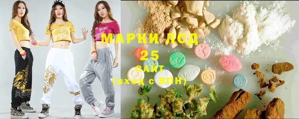 хмурый Алзамай