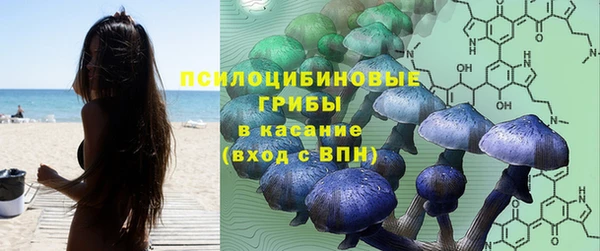 хмурый Алзамай