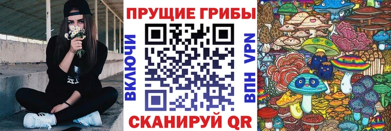 где продают наркотики  Армянск  ОМГ ОМГ сайт  Галлюциногенные грибы прущие грибы 